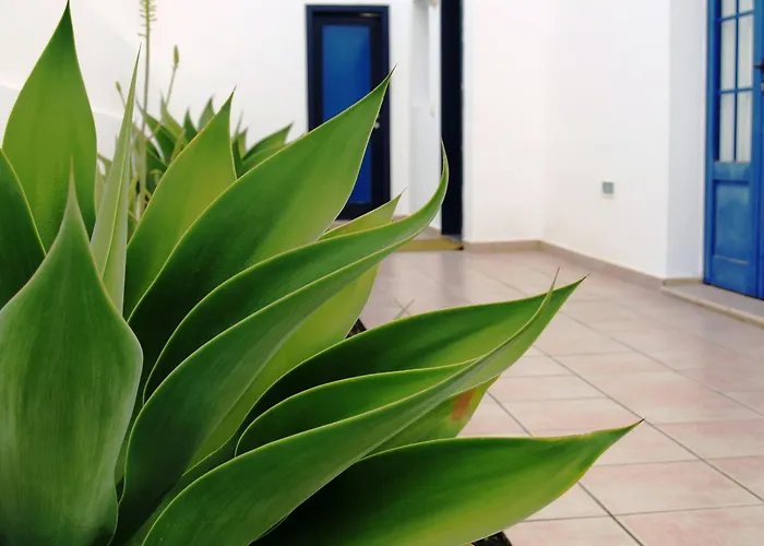 Chalet: Villas Puerto Rubicon